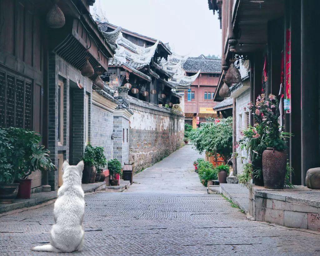 “七里河桥”东行站点增加公交停靠线路